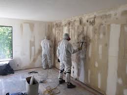 Mold Remediation for Rental Properties in Mitchell, IL